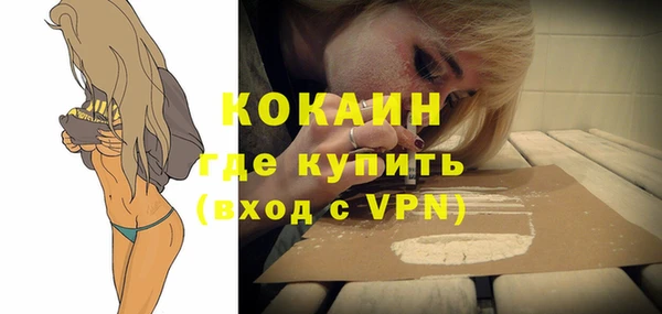 тгк Алзамай
