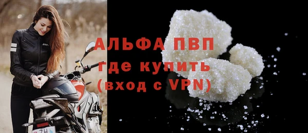 СК Алексин