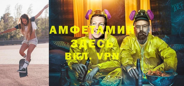 СК Алексин