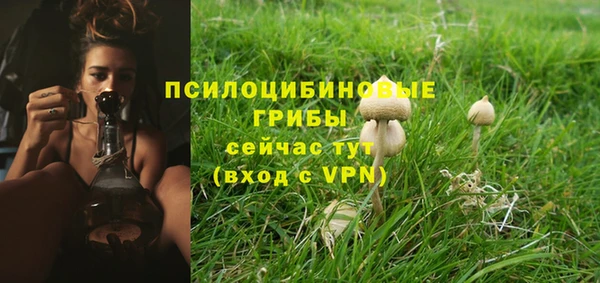тгк Алзамай