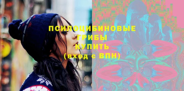 тгк Алзамай