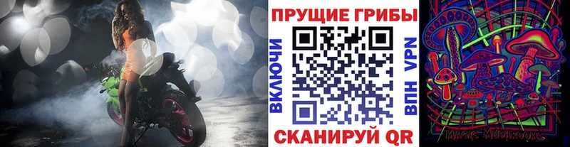 как найти   нарко площадка как зайти  Псилоцибиновые грибы Psilocybine cubensis  Юрьев-Польский 